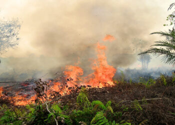 هوای خنک به کمک آتش‌نشانان بریتیش کلمبیا آمد