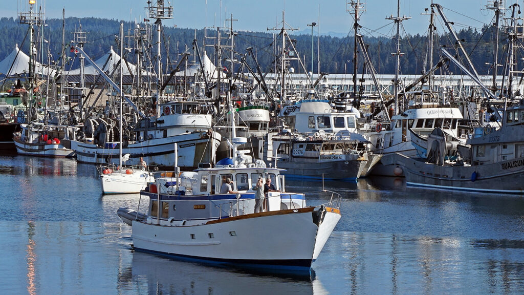 Campbell River Harbour1111