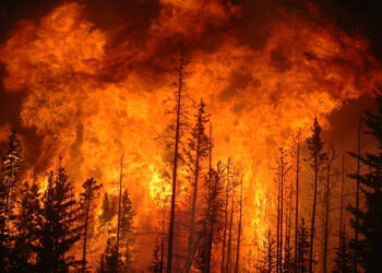 دولت بریتیش کلمیبا وضعیت فوق‌العاده اعلام کرد