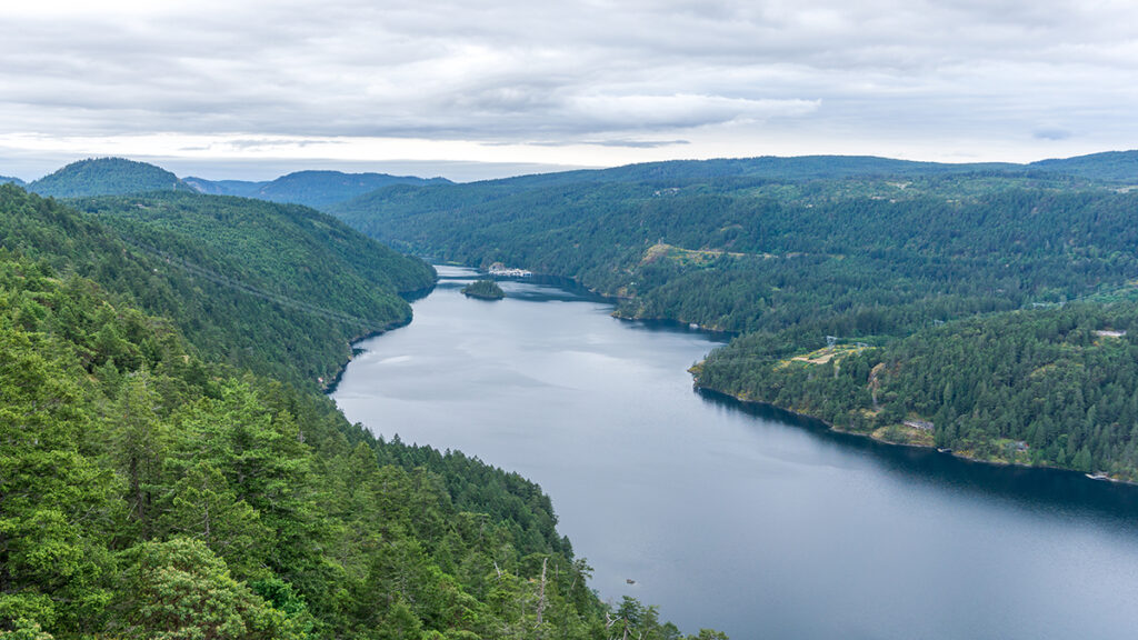 Saanich Inlet111