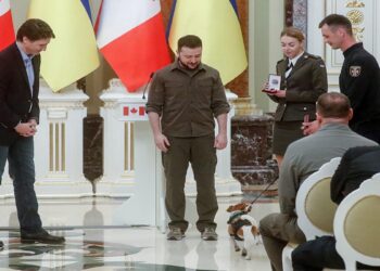 کمک نظامی کانادا به اوکراین از ۹ و نیم میلیون دلار فراتر رفت