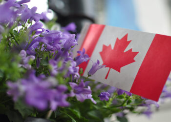 اعتصاب صدها هزار کارمند دولت کبک باعث ایجاد اختلال در ارایه برخی خدمات شد