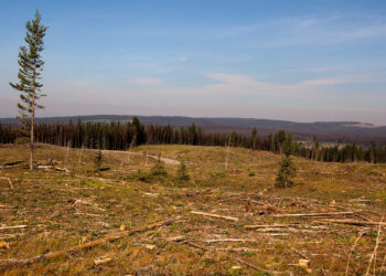 احتمال خشکسالی در تابستان آینده کانادا