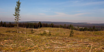 احتمال خشکسالی در تابستان آینده کانادا