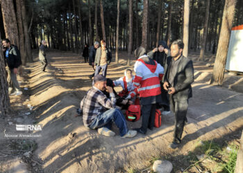 حادثه تروریستی کرمان تاکنون 103کشته و 141مصدوم داشته است