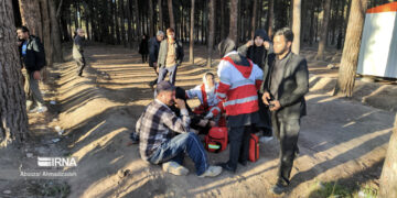 حادثه تروریستی کرمان تاکنون 103کشته و 141مصدوم داشته است