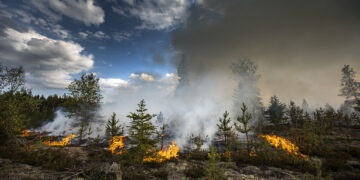 هشدار برای وقوع آتش‌سوزی‌های جدید در کانادا
