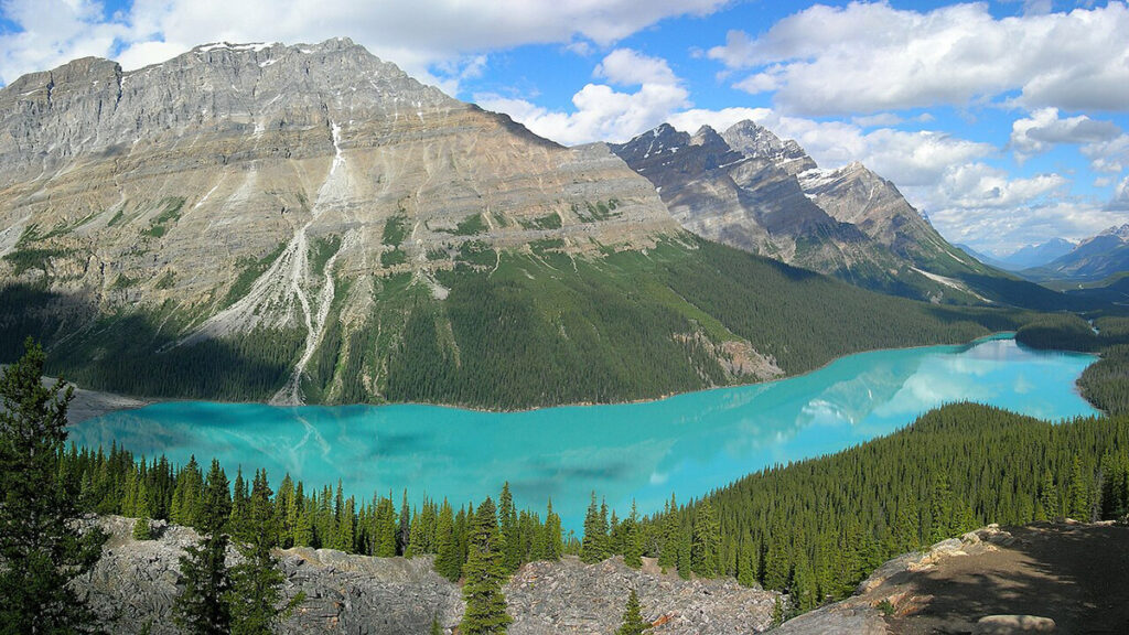 Peyto Lake Banff NP Canad1111111a