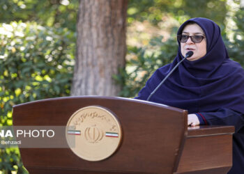 سخنگوی دولت ایران: معیشت ایرانیان تحت تأثیر انتخابات آمریکا قرار نخواهد گرفت