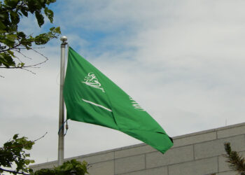 پیشگام شدن عربستان برای حل طرح پاکسازی غزه