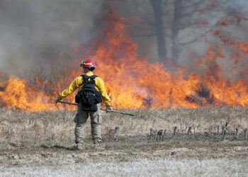پیش‌بینی هوای گرم و خشک بیشتر/ کانادا درگیر مبارزه با آتش‌سوزی‌های گسترده جنگلی است