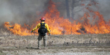 پیش‌بینی هوای گرم و خشک بیشتر/ کانادا درگیر مبارزه با آتش‌سوزی‌های گسترده جنگلی است