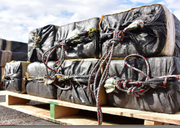 بزرگ‌ترین کشف کوکائین در تاریخ پیل؛ ۵۰۰ کیلو کوکائین ضبط شد