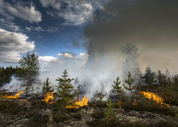 کانادا درگیر دومین فصل آتش‌سوزی شدید تاریخ/ آتش‌سوزی‌های ۲۰۲۳ رکورددار بدترین‌ها شدند