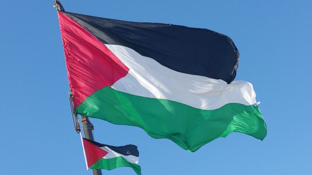 Palestine flag 11